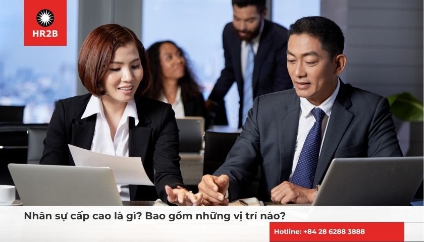 Nhân sự cấp cao giữ vai trò quan trọng trong việc ra quyết định và dẫn dắt tổ chức